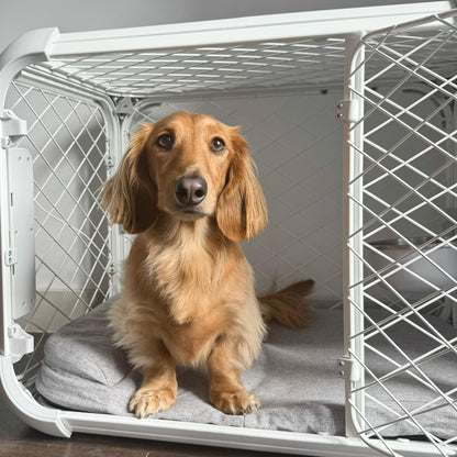 Modular Dog Crate with Removable Top Panel
