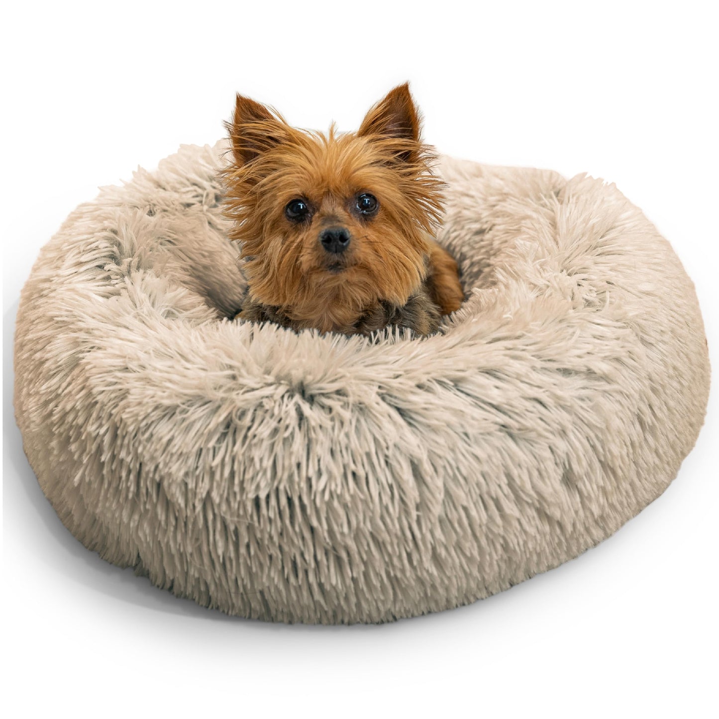 Best Friends by Sheri Bed Mat