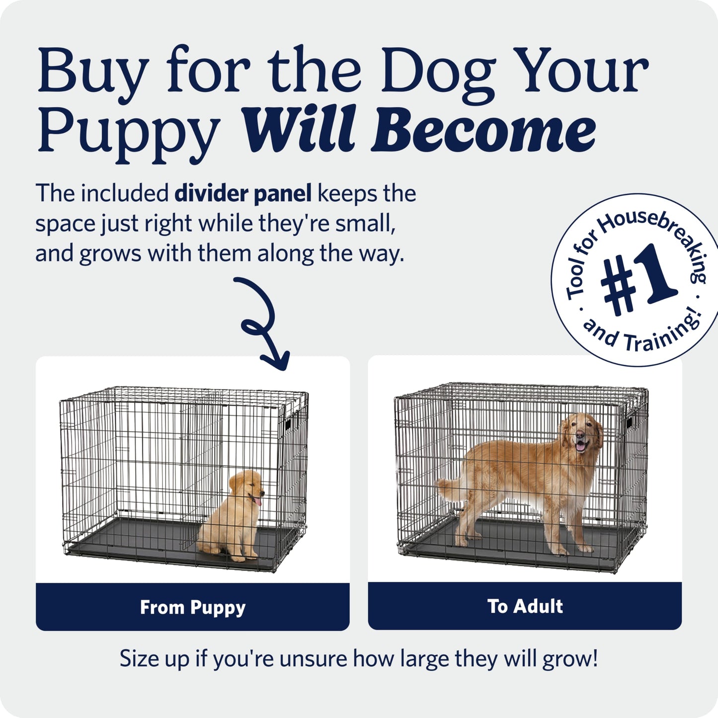 30-Inch Double Door Folding Dog Crate with Divider