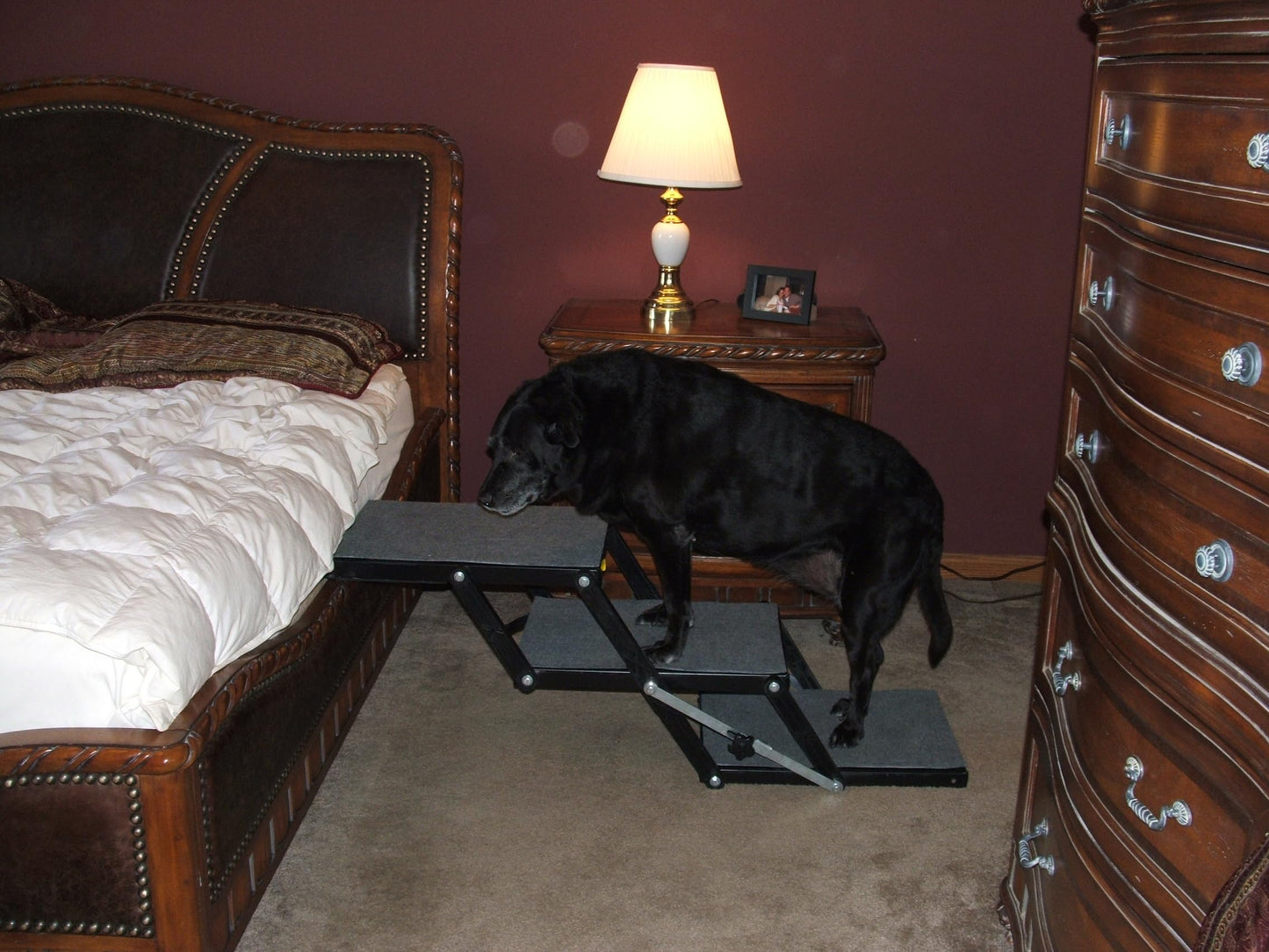 Portable Pet Access Platform Step 16-Inch