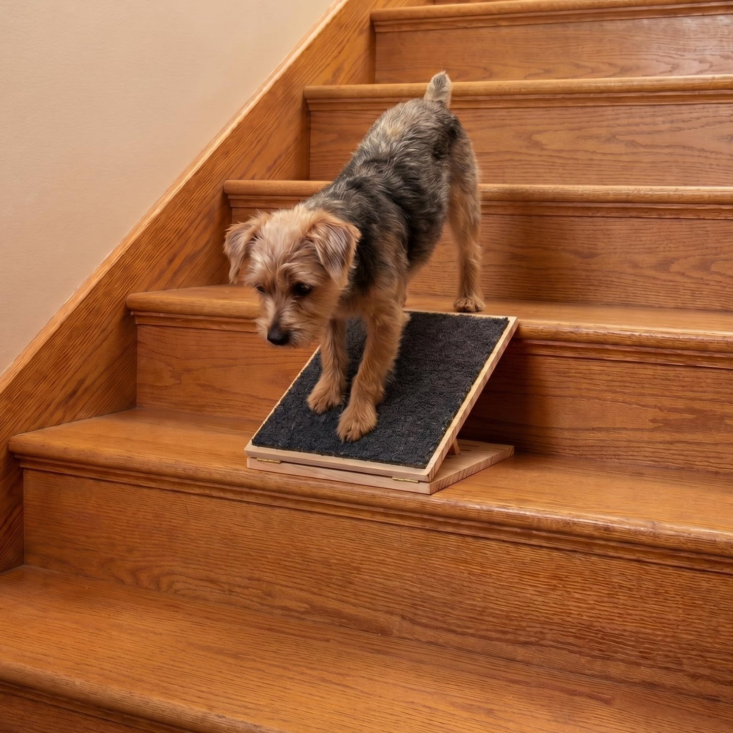 Adjustable Foldable Pet Ramp with Non-Slip Surface