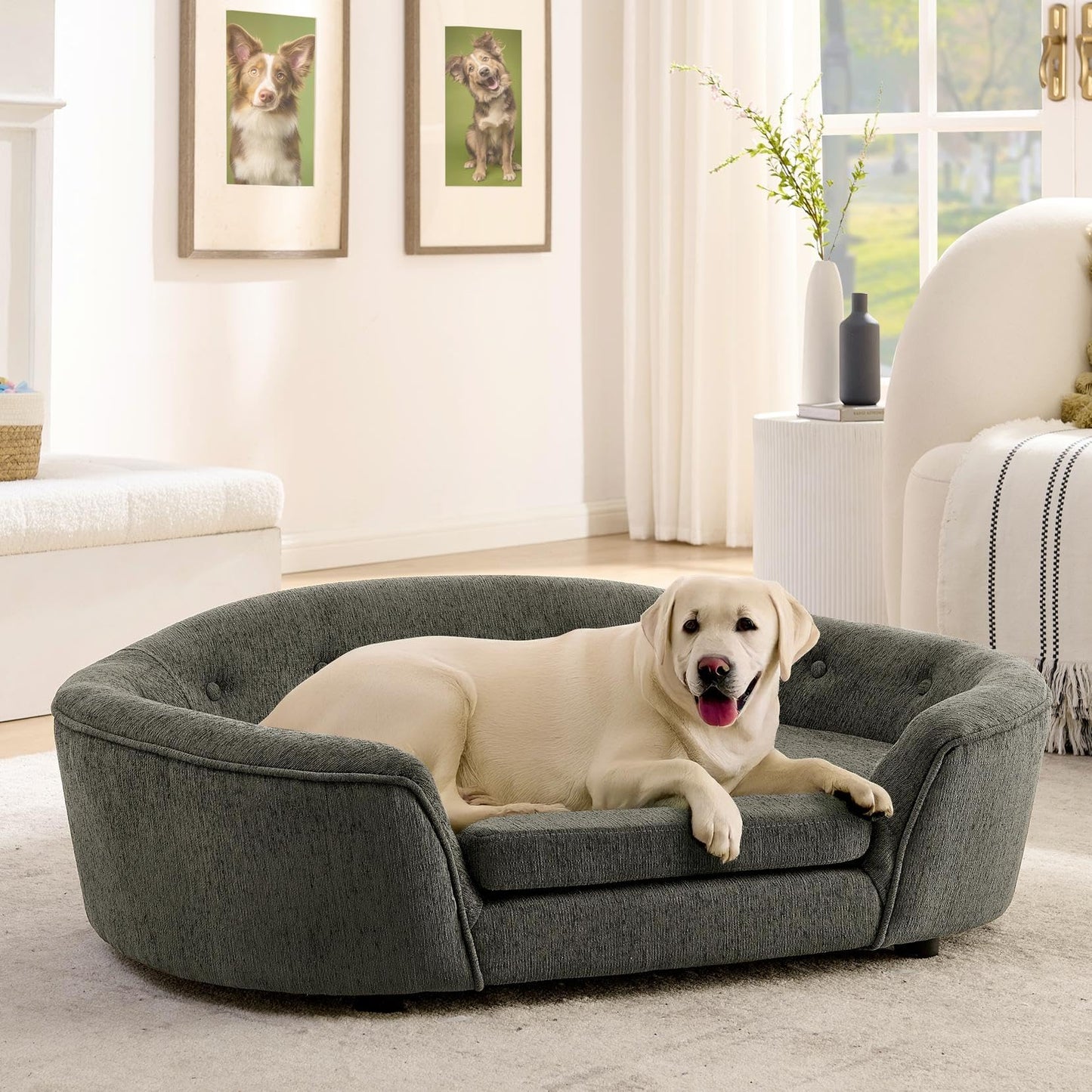 XOCN Dog Sofa Couch