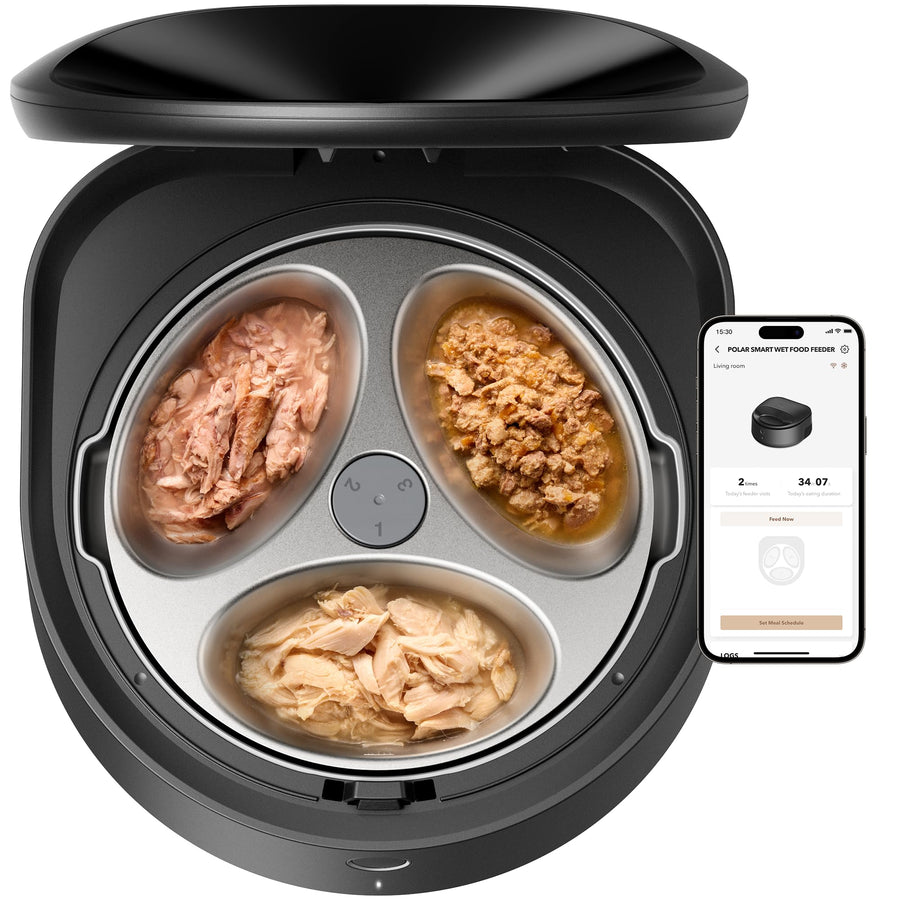 Automatic Wet Food Feeder with Refrigerated Bowl