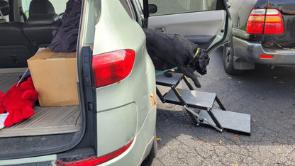 Portable Pet Access Platform Step 16-Inch