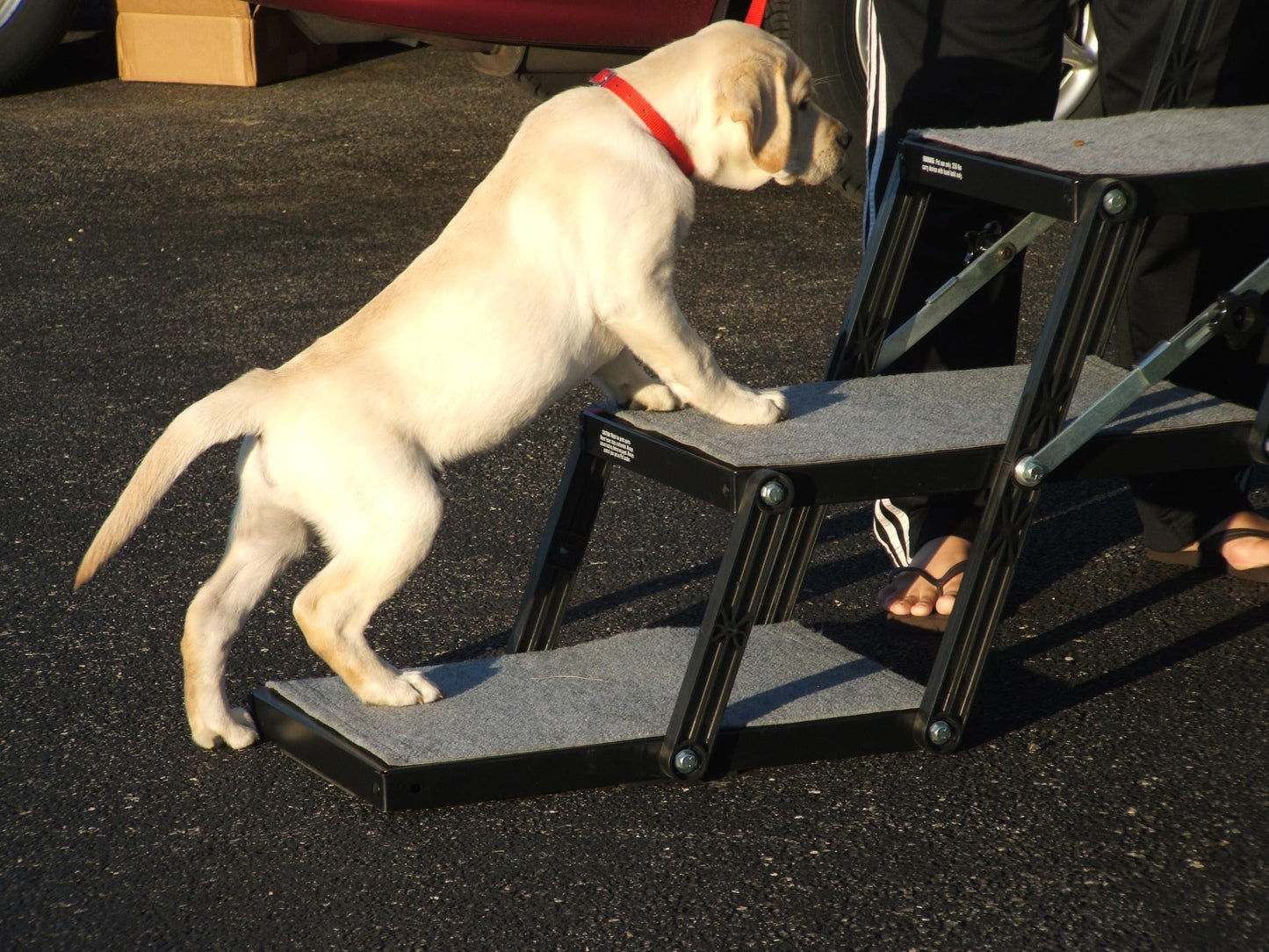 Portable Pet Access Platform Step 16-Inch