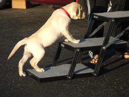 Portable Pet Access Platform Step 16-Inch