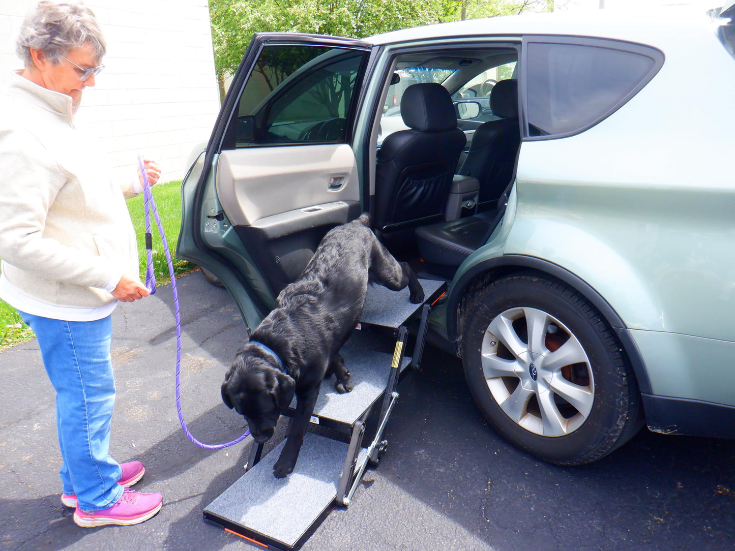 Portable Pet Access Platform Step 16-Inch