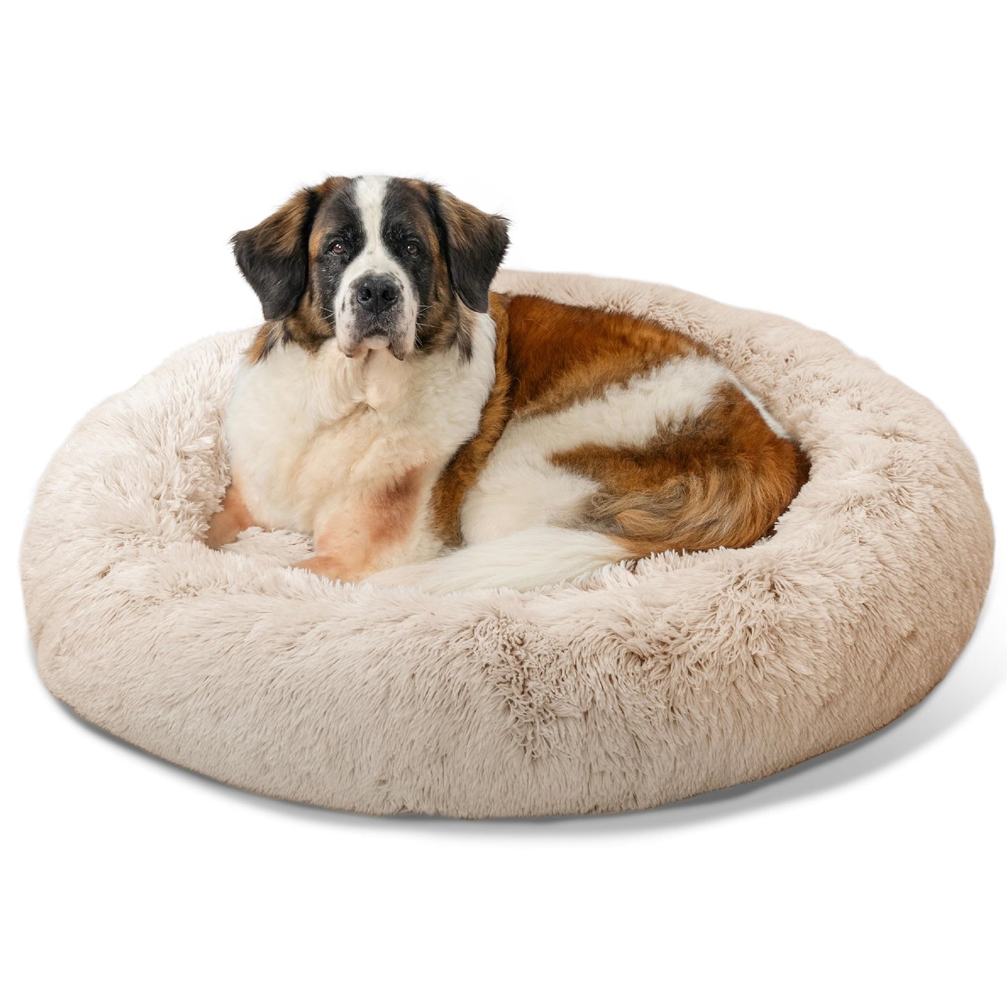 Best Friends by Sheri Bed Mat