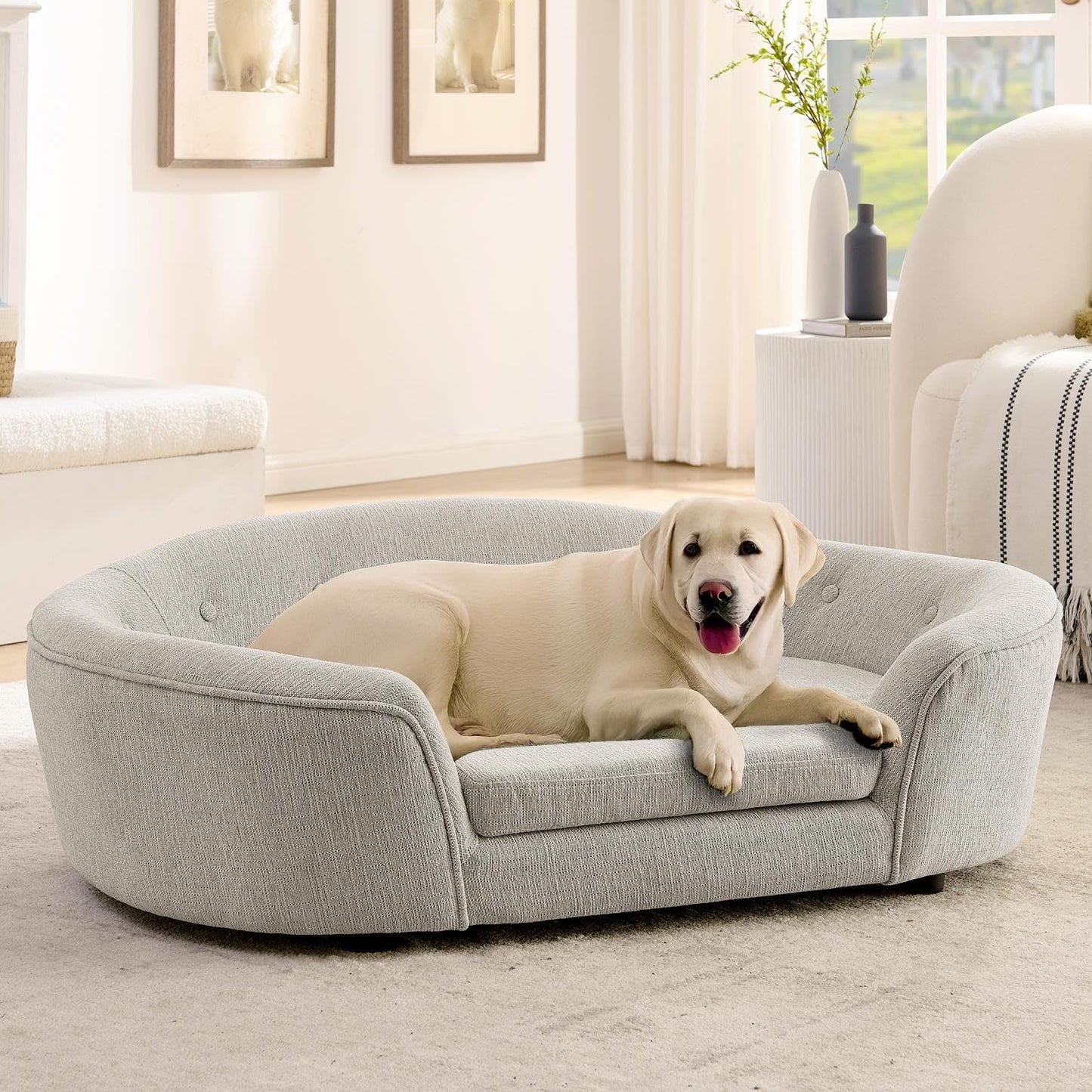 XOCN Dog Sofa Couch