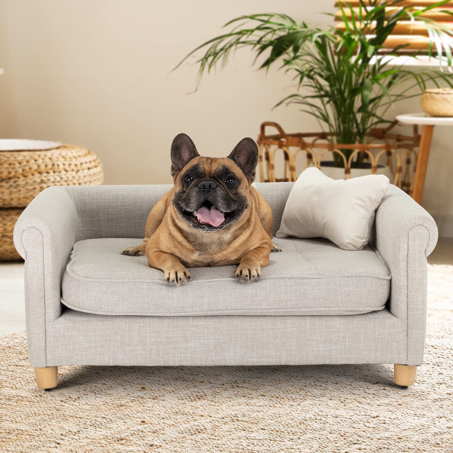 Velvet Pet Sofa Bed with Supportive Cushion