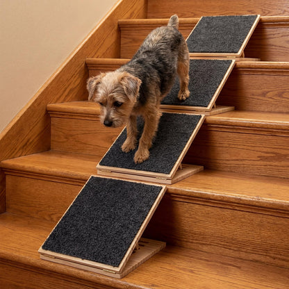 Adjustable Foldable Pet Ramp with Non-Slip Surface