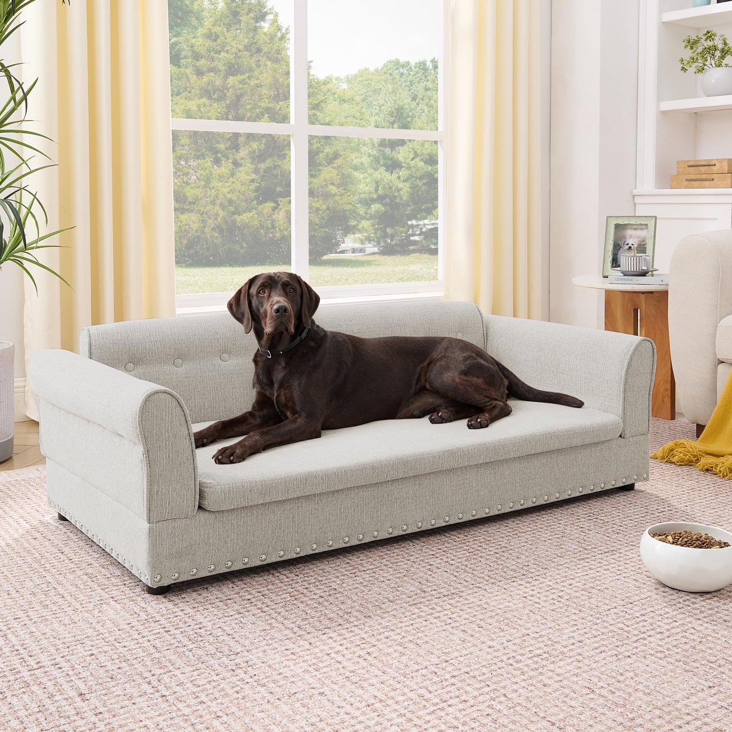 XOCN Dog Sofa Couch