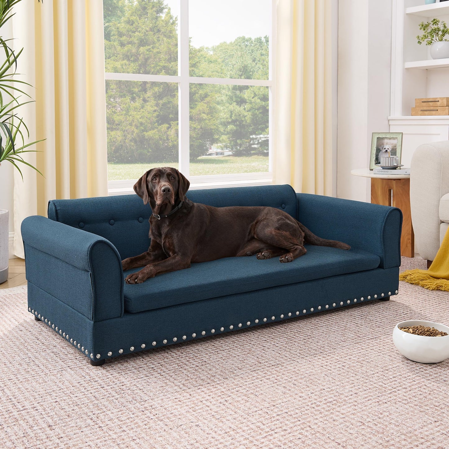 XOCN Dog Sofa Couch
