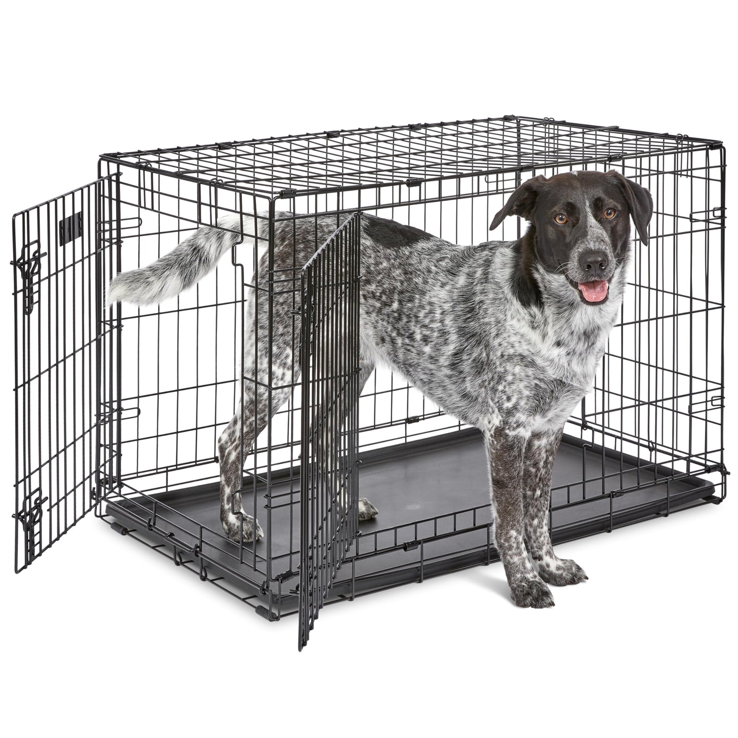 30-Inch Double Door Folding Dog Crate with Divider