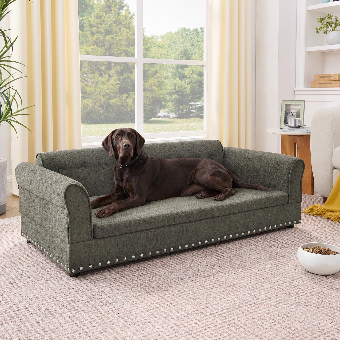 XOCN Dog Sofa Couch