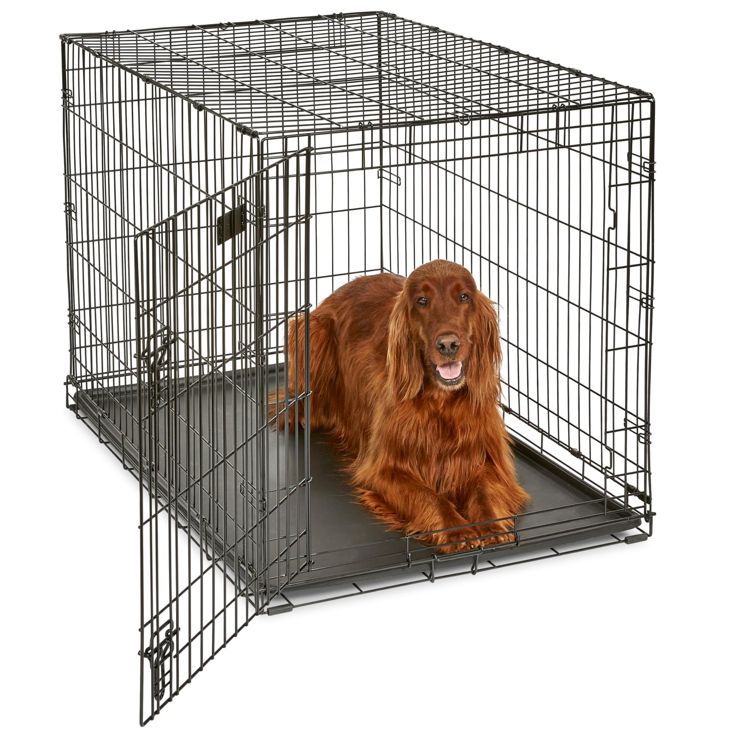 30-Inch Double Door Folding Dog Crate with Divider