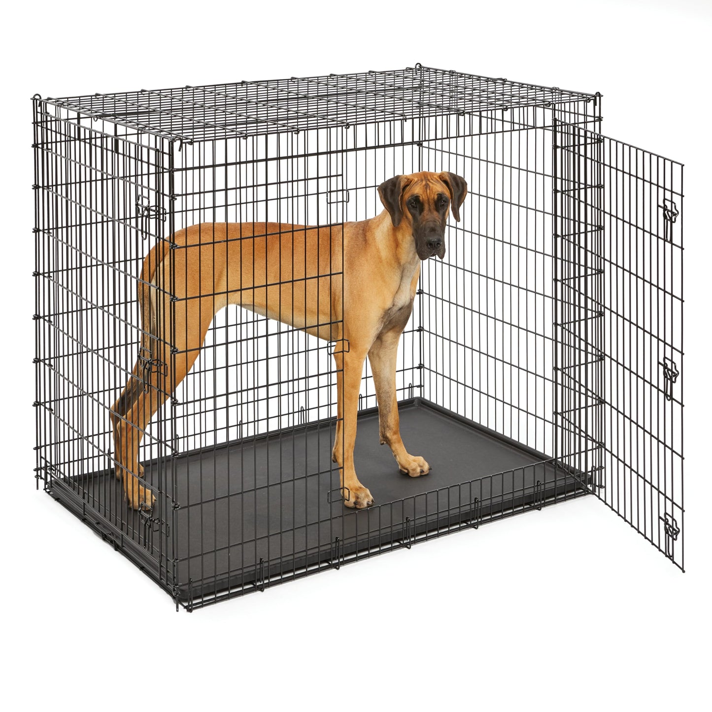 30-Inch Double Door Folding Dog Crate with Divider